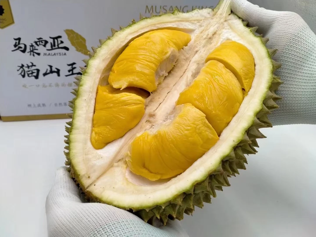 【佛山禅城小时达】②液氮冷冻马来西亚猫山王D197榴莲(一果一拍,拍下默认开果)