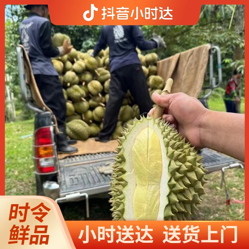 【广州】泰国树熟金枕 鲜果 榴莲  A果3~10斤【广州同城小时达】