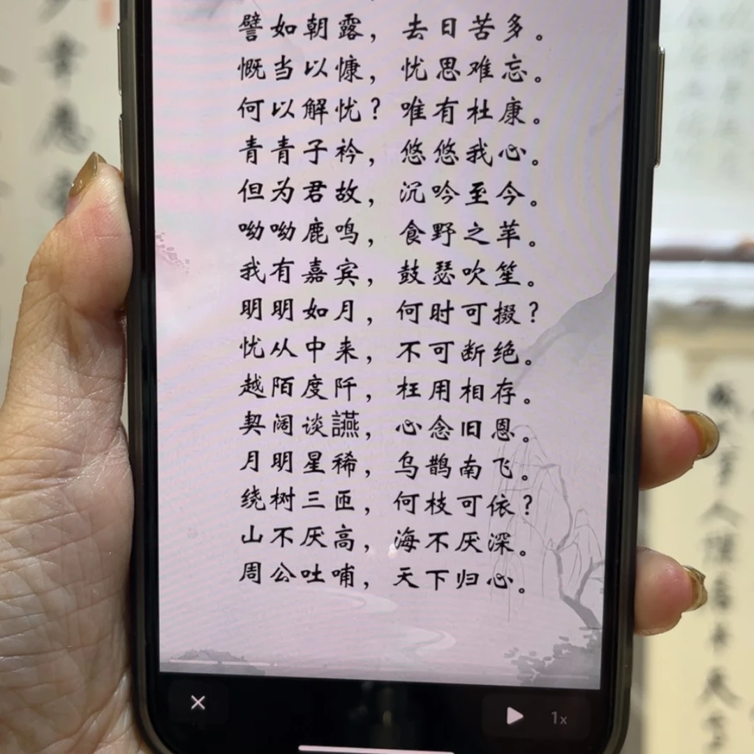 【闪购商品】书法E*c