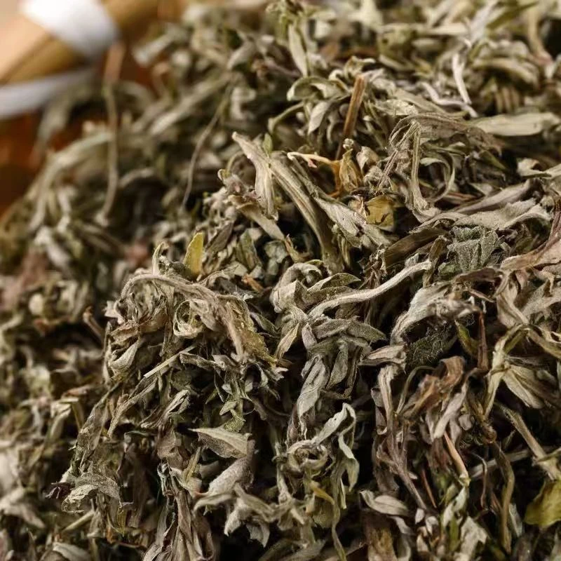 野生艾叶干艾草艾叶