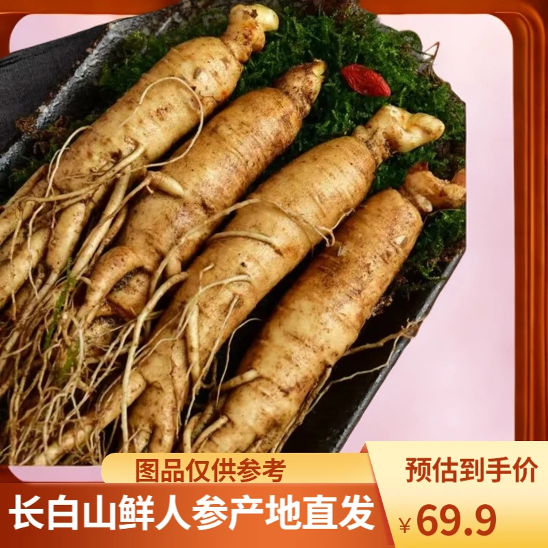 【单支45-60克】发200g(5支左右)长白山鲜人参产地直发泡水煲汤泡酒