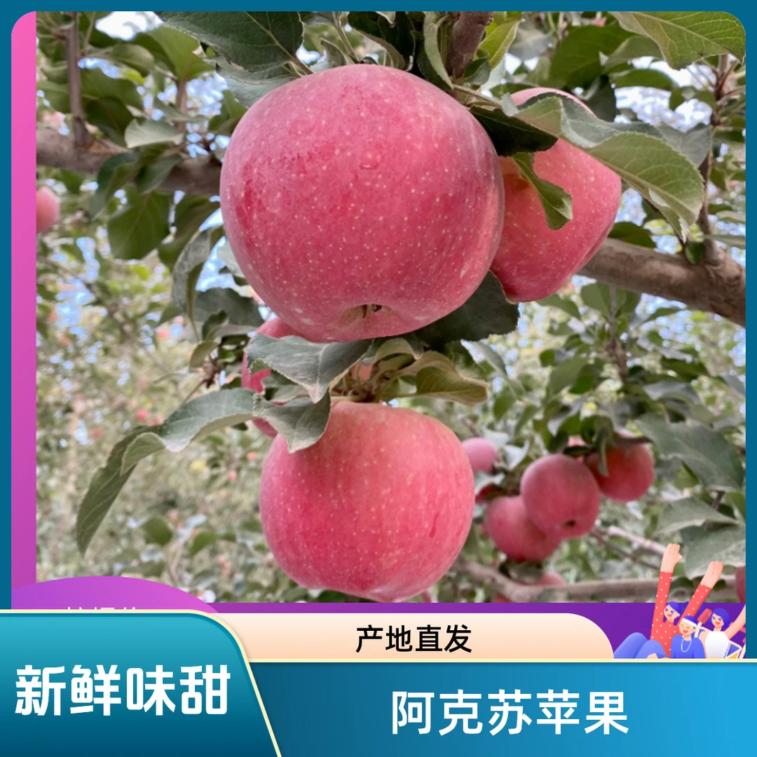 【宝宝果】正宗阿克苏冰糖心苹果10斤新鲜现摘产地直发果农自产自销