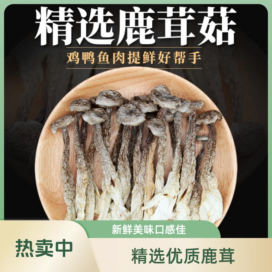 中芮精选【鹿茸菇】脆脆菇新鲜高品质食用口感脆爽鲜香浓郁农产品