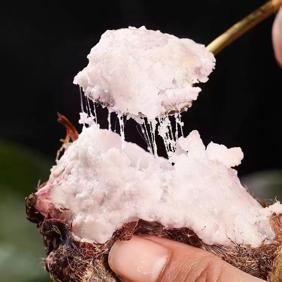 【软糯香甜】云南高山红芽牛奶芋头10斤5斤3斤小芋艿牛奶芋头