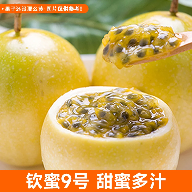 【3斤5斤中大果】钦蜜九号黄金百香果香甜中大果3斤5斤天然营养多汁