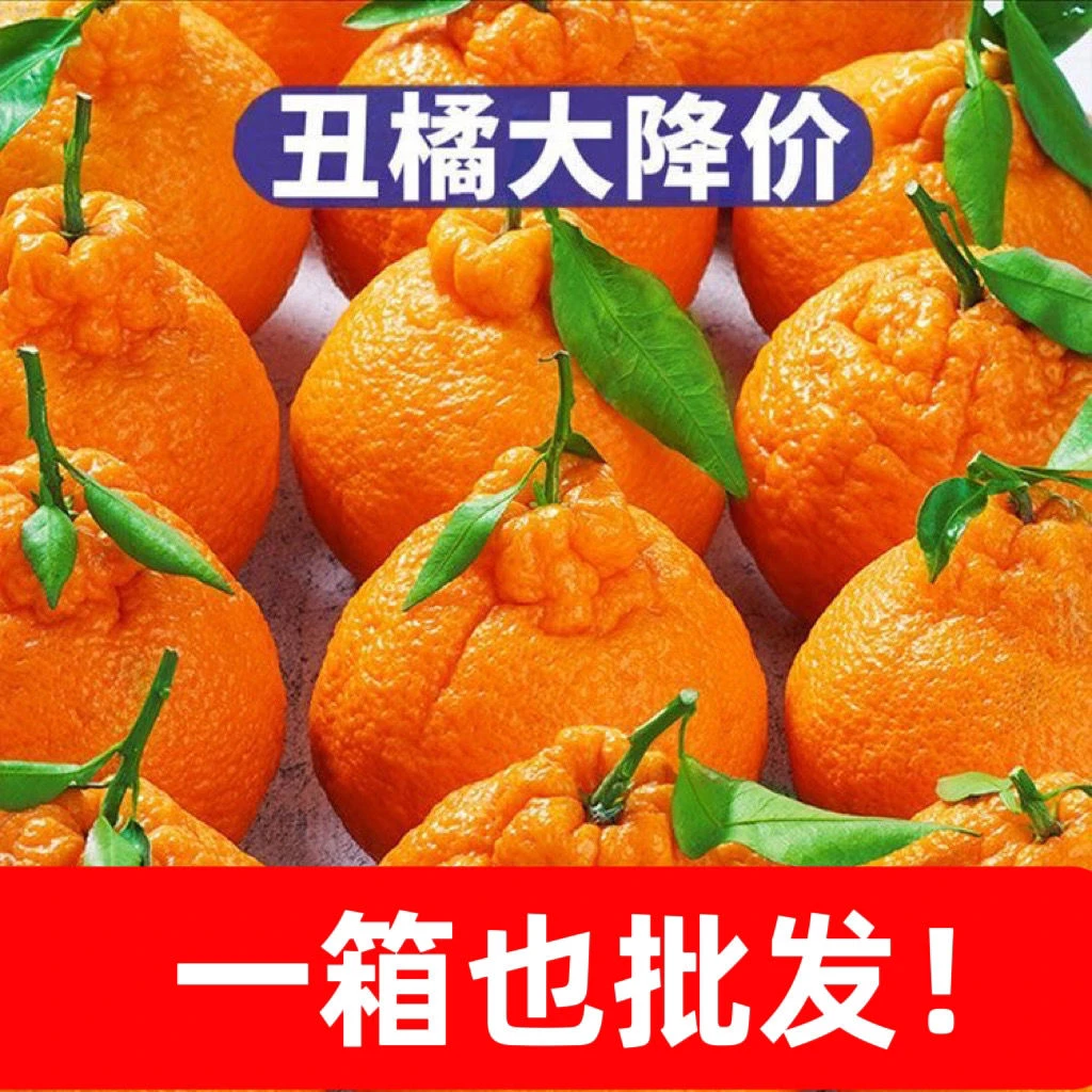 四川不知火丑八怪耙耙柑丑橘柑橘现摘现发新鲜水果整箱包邮