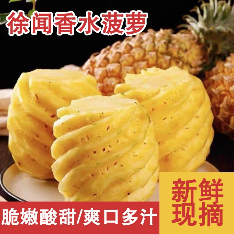 新鲜徐闻大菠萝现摘香水菠萝水果大果批发非海南手撕凤梨菠萝