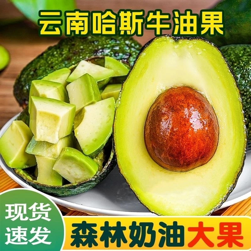 云南普洱哈斯牛油果大果墨西哥品种鳄梨孕妇宝宝辅食新鲜水果包邮
