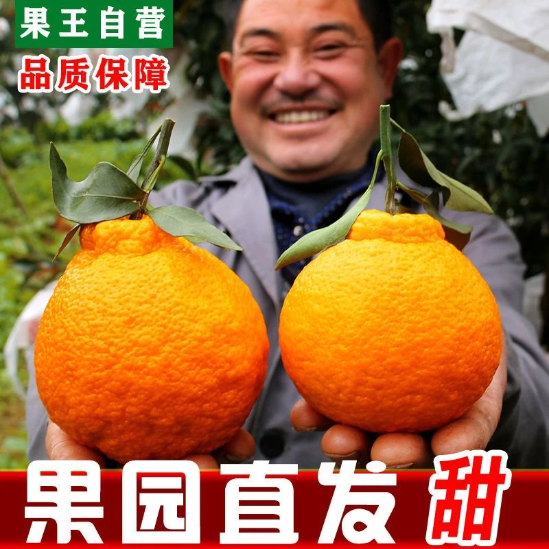 四川不知火丑橘脆甜不上火孕妇新鲜水果丑八怪3/5/10斤多规格批发