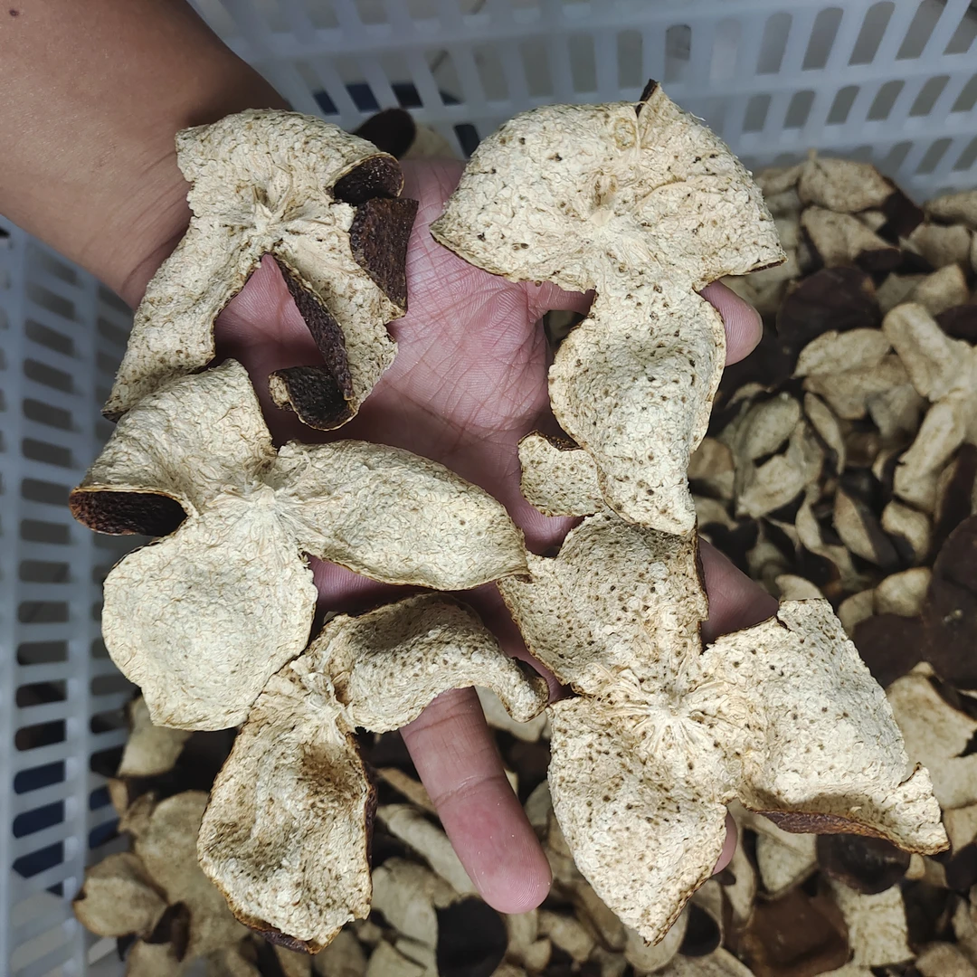 2021新会陈皮天马圈枝大红皮