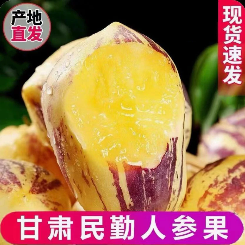 甘肃民勤新鲜沙漠黄肉人参果8斤,产地直发坏果包赔