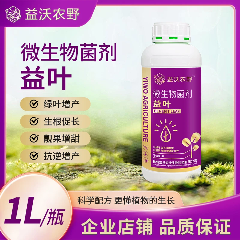 植物菌立清微生物菌剂杀菌剂根腐克星大蒜专用叶面肥清满园根腐病