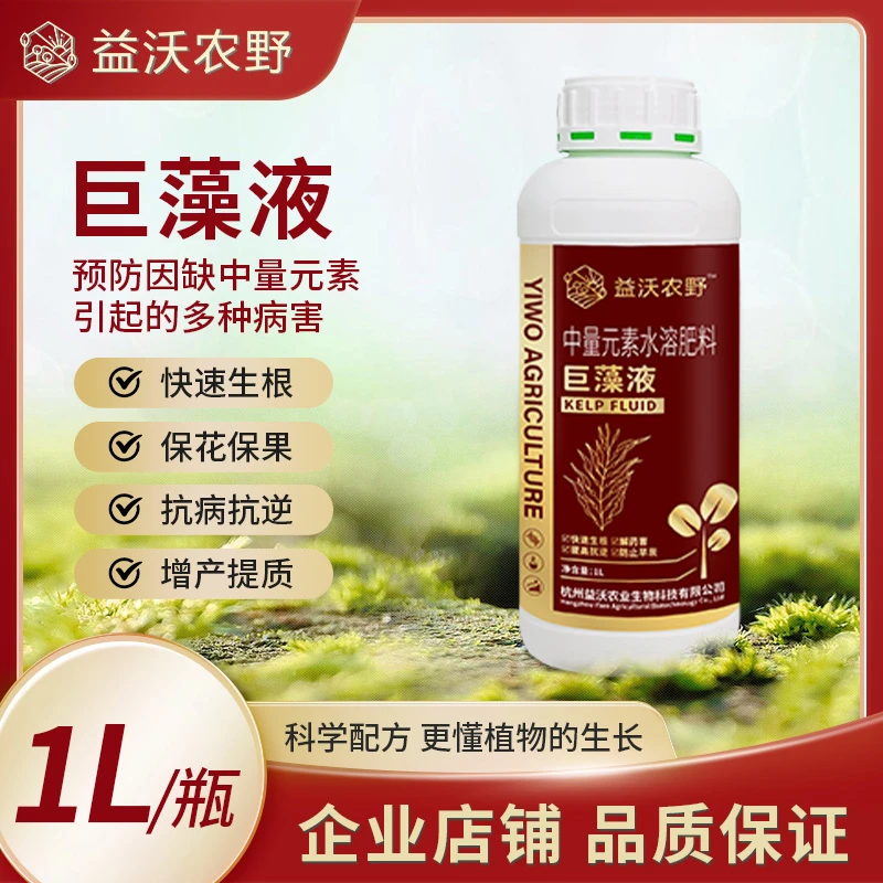 南非巨藻液水溶肥料有机肥抗冻生根剂促花膨果叶面肥微量元素膨大