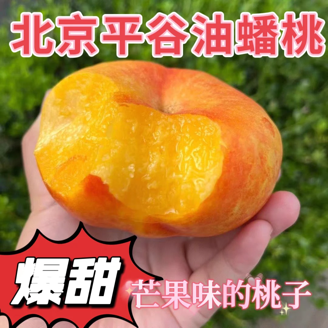 【大华山专属】平谷正宗黄油蟠桃现摘现发爆甜礼盒装