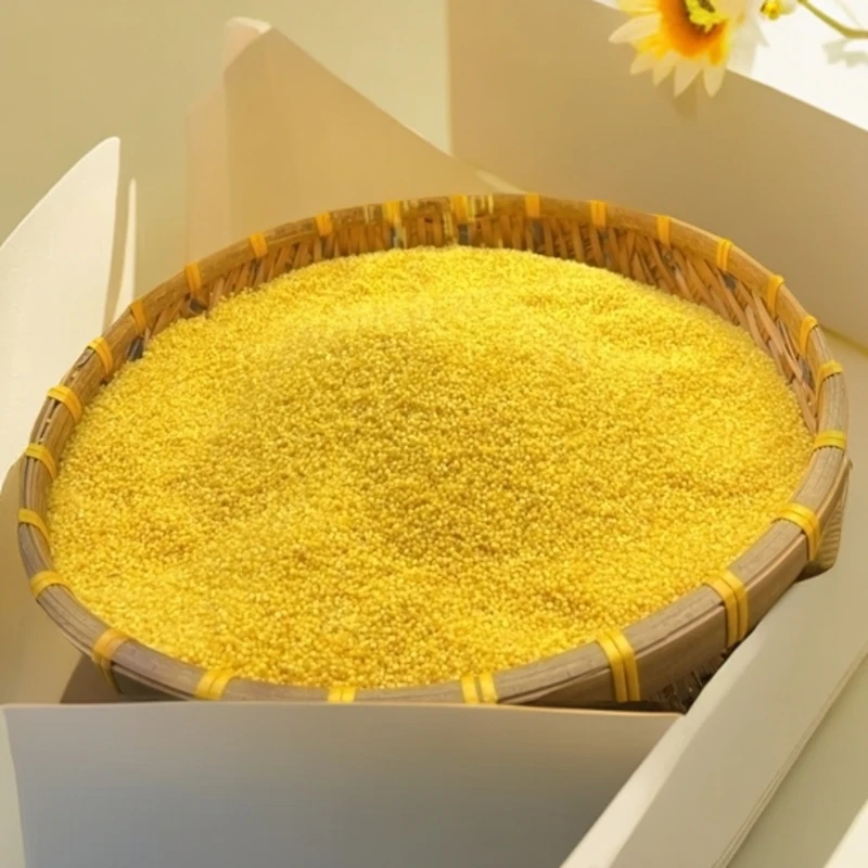 山西小米2025年新米粗粮包邮大同阳高特产米油浓厚糯黄小米