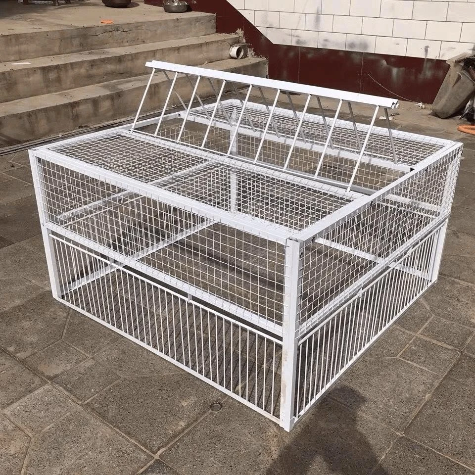 新款加密天落笼鸽子笼信鸽用品鸽子笼跳笼拼装耐用家用养殖笼