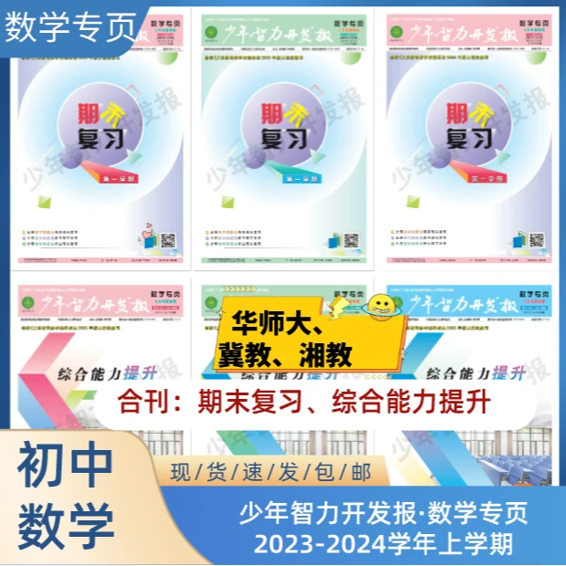 初中数学华师大版、冀教版、湘教版数学专页期末复习+综合能力提升