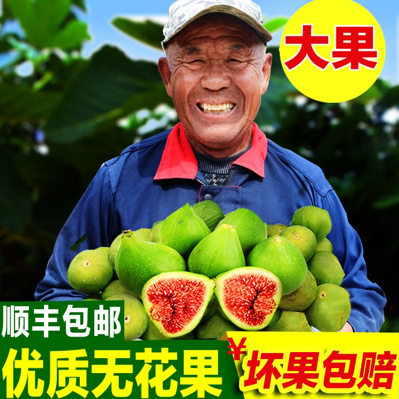 无花果新鲜 现摘威海特产青皮无花果孕妇鲜果新鲜应季水果4斤顺丰