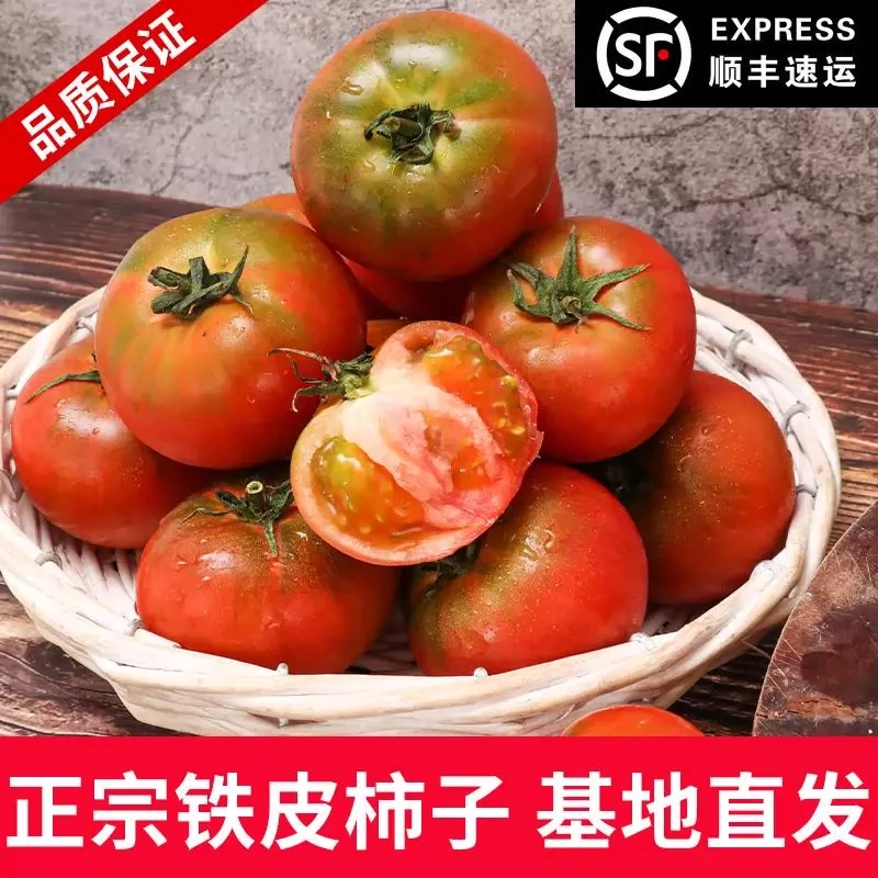 5斤 草莓西红柿 酸酸甜甜 产地直发 小时候的味道新鲜好吃
