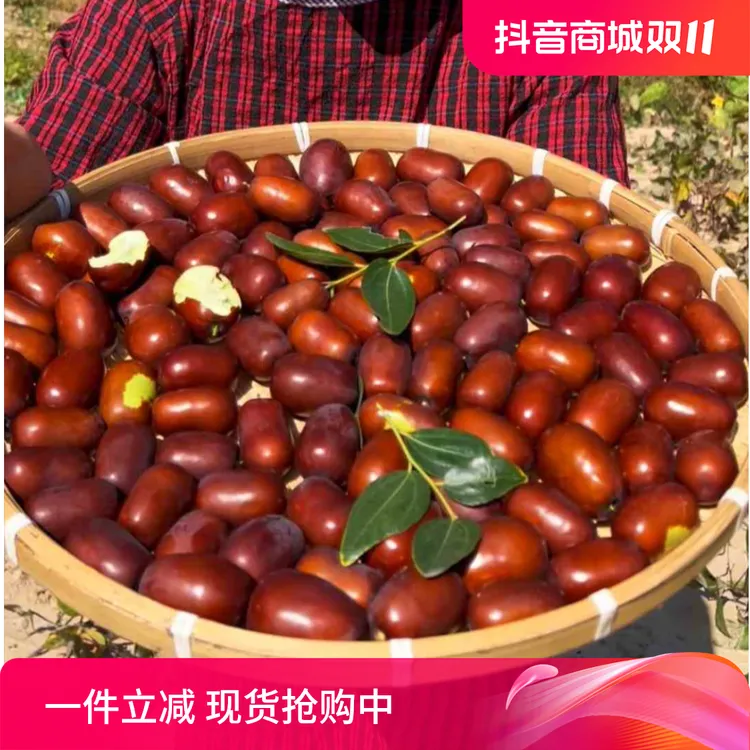 郝爷优选 顺丰包邮陕北大枣黄河滩枣新鲜采摘产地直发清甜爽口