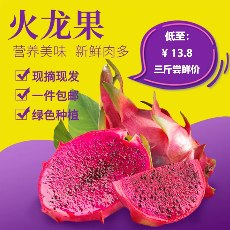 广西果园现摘红心火龙果 ( 三斤装 )