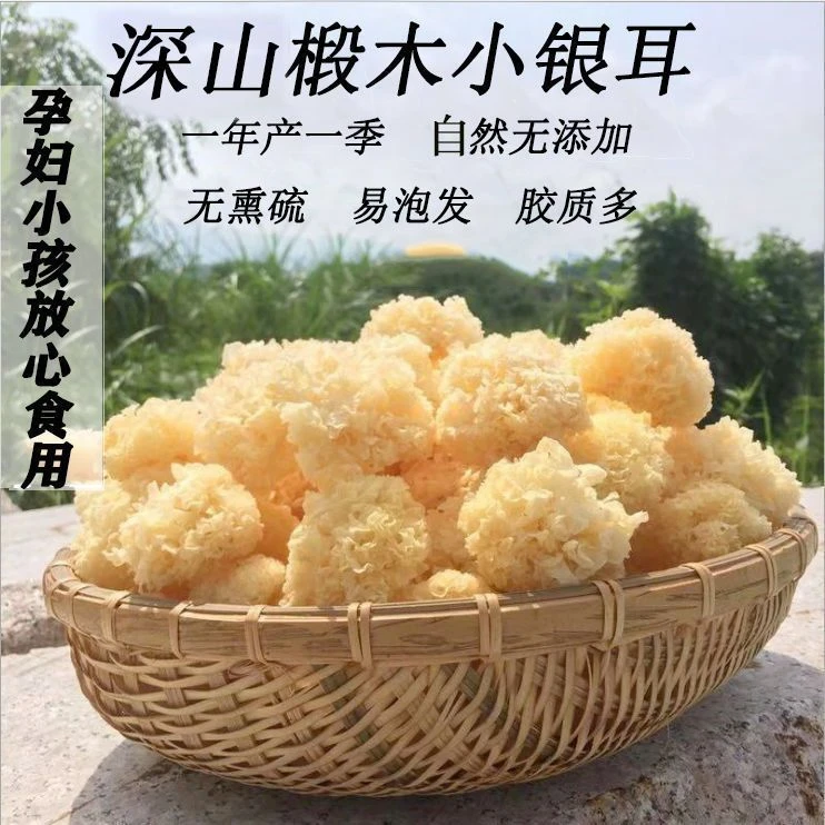 椴木小银耳干货无熏硫精选优质深山生长椴树白木耳莲子软糯多胶