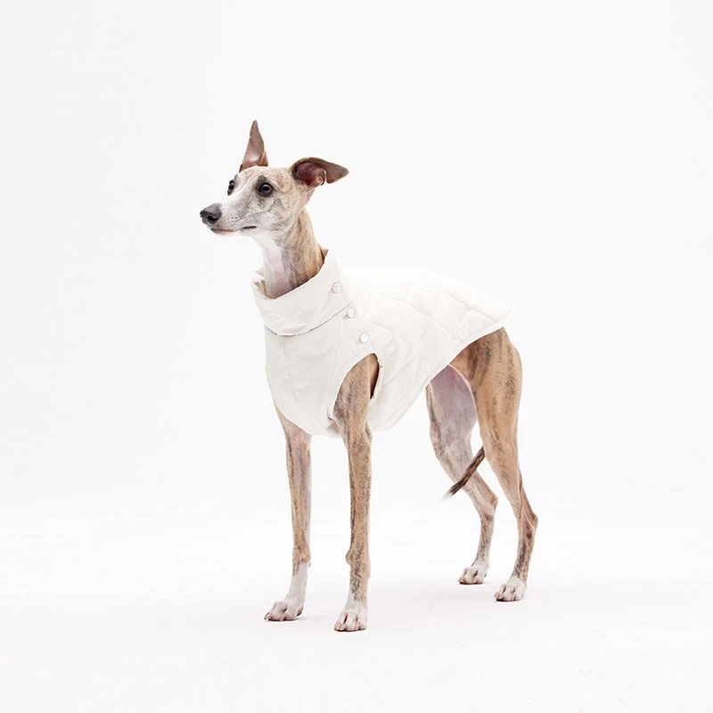 【直播】KNOWZA宠物狗棉衣背心冬季雪纳瑞柴犬小型犬外套