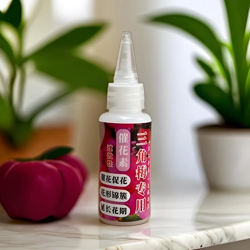 【三角梅催花素】三角梅开花爆花的秘籍花型紧凑原液浓缩促花原液