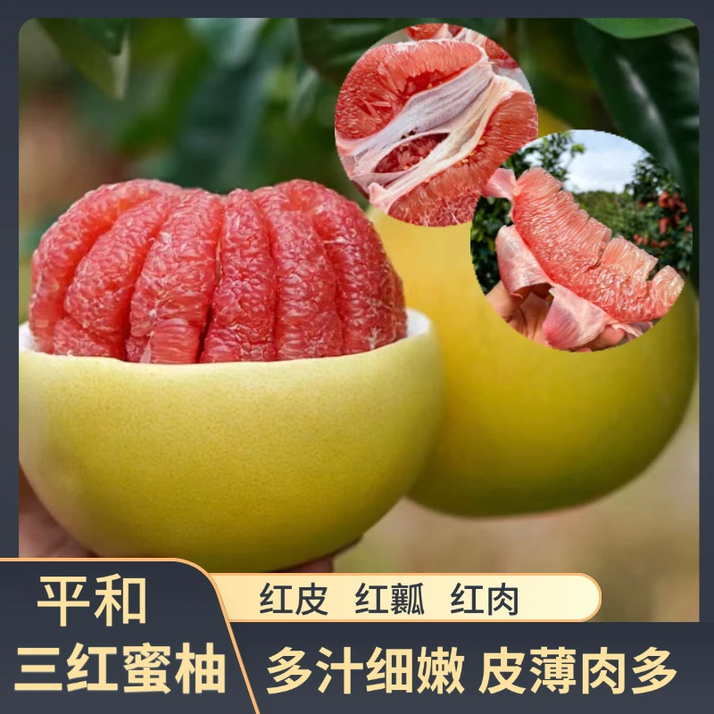 【老树头茬】正宗福建平和琯溪红心蜜柚1箱 红肉柚子 红心蜜柚