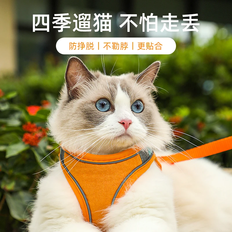 多可特猫咪牵引绳出行防挣脱专用可调节遛猫绳狗狗胸背带舒适轻便