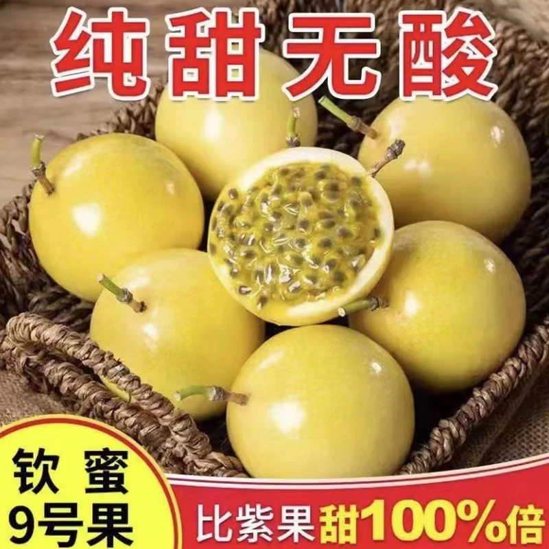 【黄金百香果】云南钦蜜9号新鲜发货