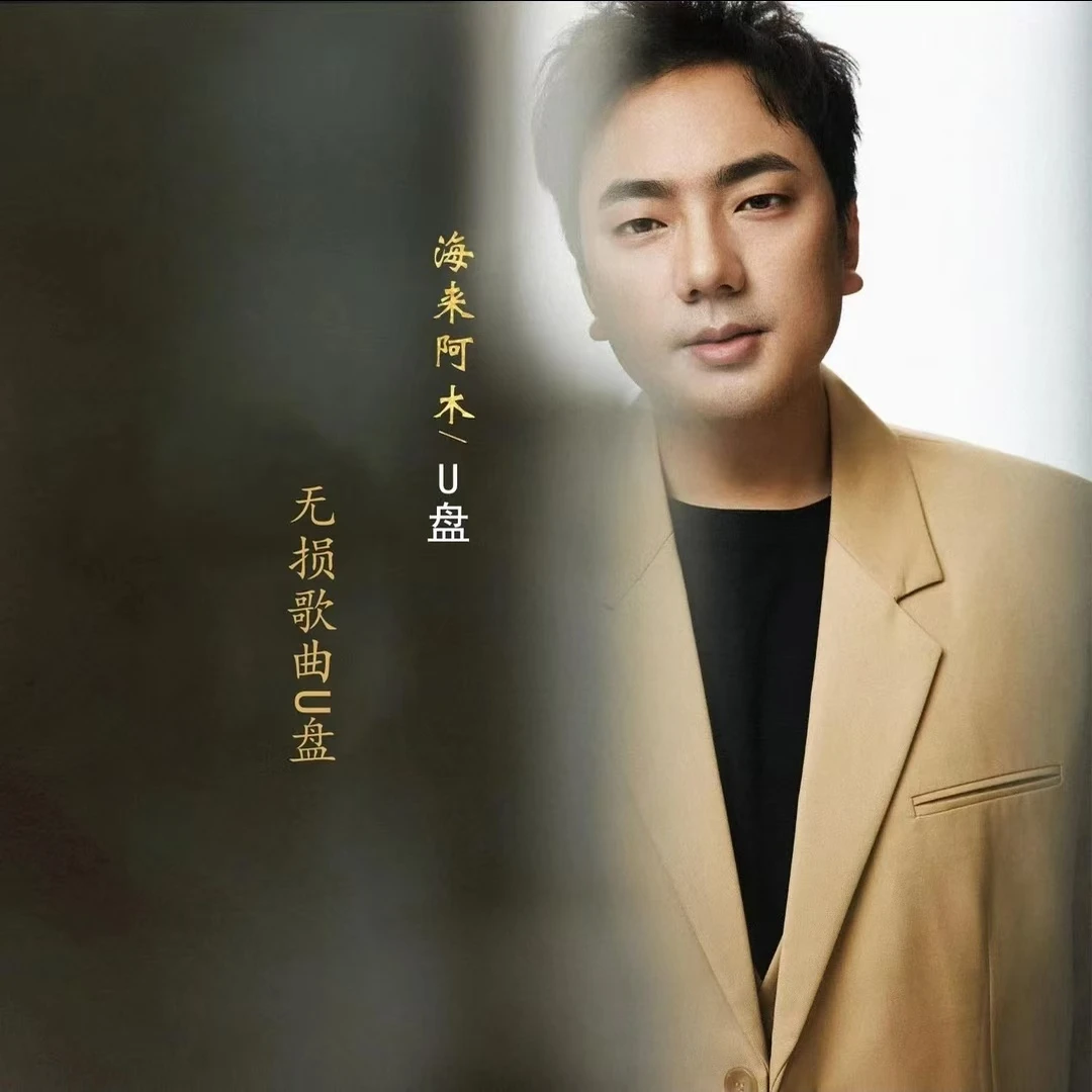 海来阿木专辑车载u盘2024最新款歌曲经典流行老歌无损高品质歌曲