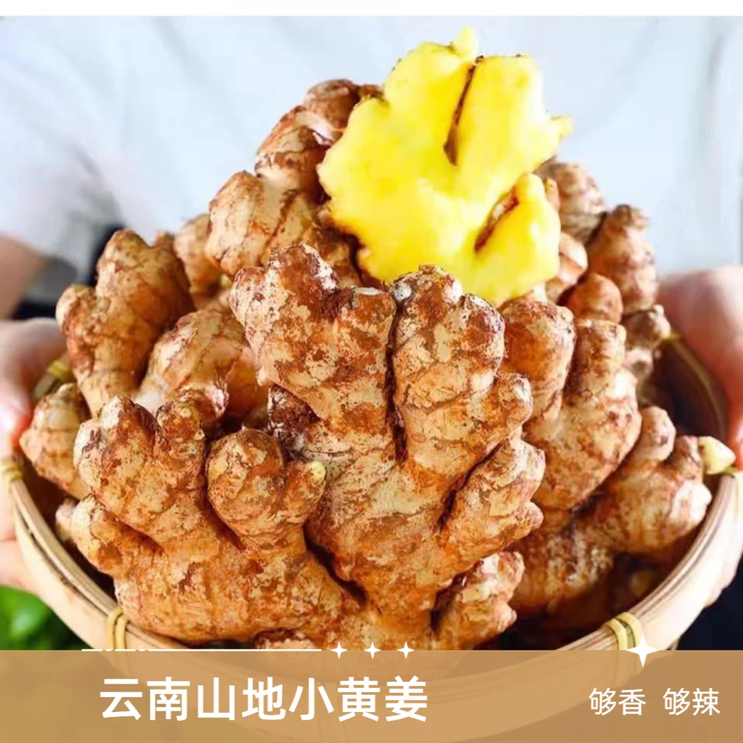云南山地小黄姜新鲜现挖生姜辛辣浓郁农家自种3斤5斤9斤装/