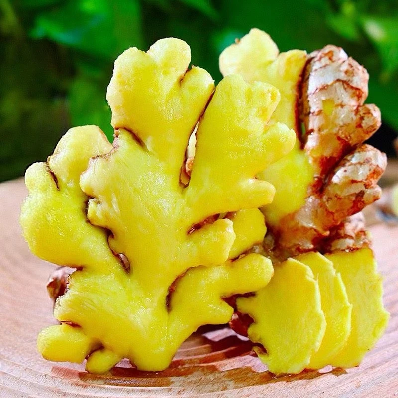 正宗云南山地小黄姜新鲜现挖现发生姜1斤3斤/5斤/9斤装/