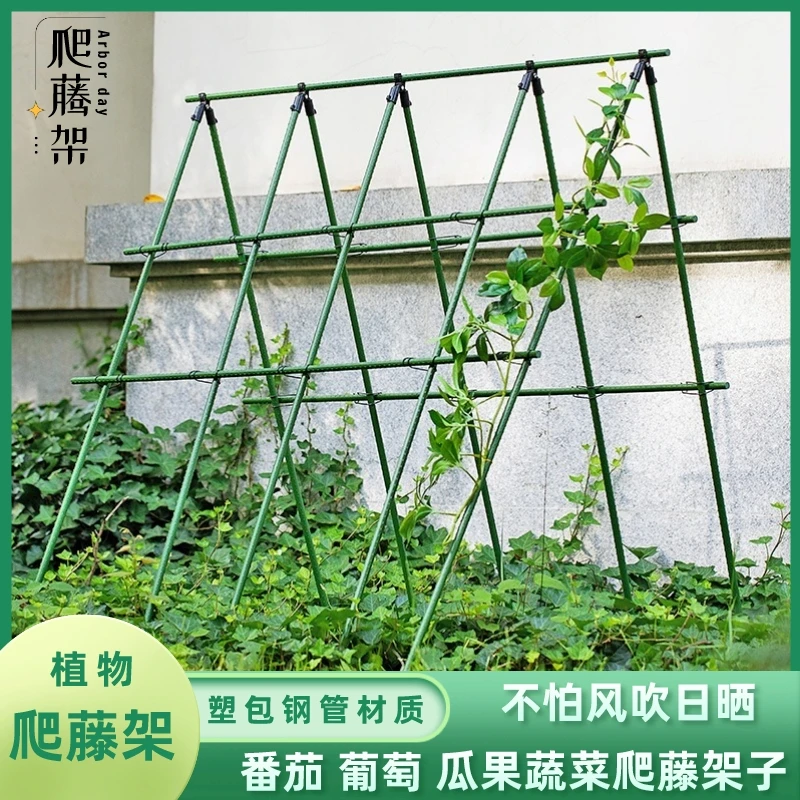 园艺爬藤支架户外庭院花架葡萄黄瓜丝瓜豆角架杆蔬菜月季植物支撑