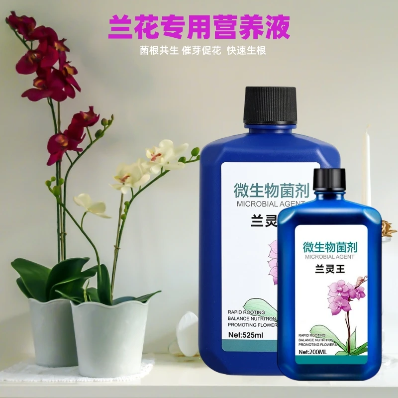 兰灵王兰花专用营养液蝴蝶兰君子兰生根活化剂蝴蝶兰专用营养液