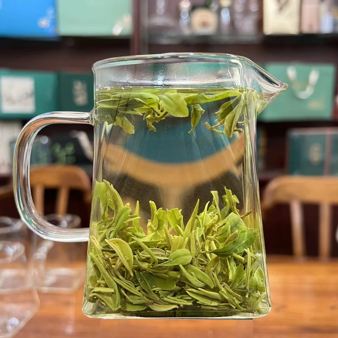 雲松山【头采春茶】2025日照绿茶露天头采春茶嫩芽鸡汤鲜4.13号春茶