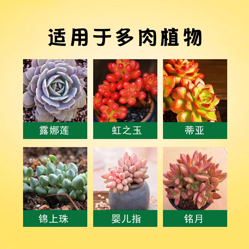 优芽素多肉专用叶插促芽催芽家用养花肥料营养液