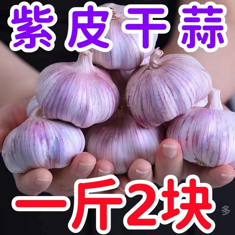 【新店半价】大蒜头批发干蒜紫皮大蒜头3-5斤干蒜特大新鲜大蒜100g