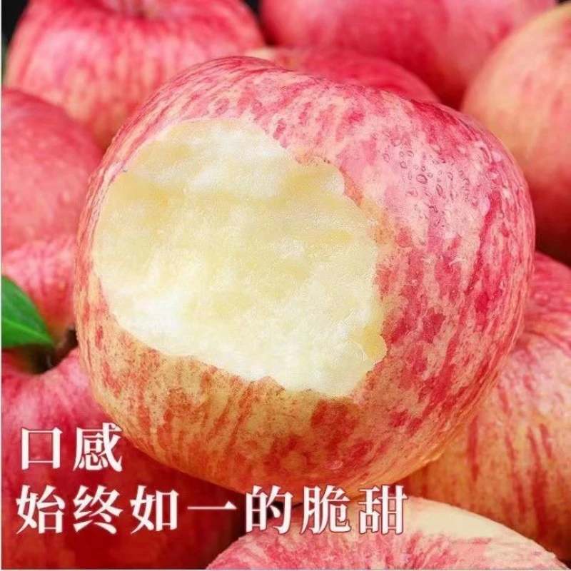 红富士苹果冰糖心红富士当季新鲜平果水果脆甜多汁2/5/10斤高山