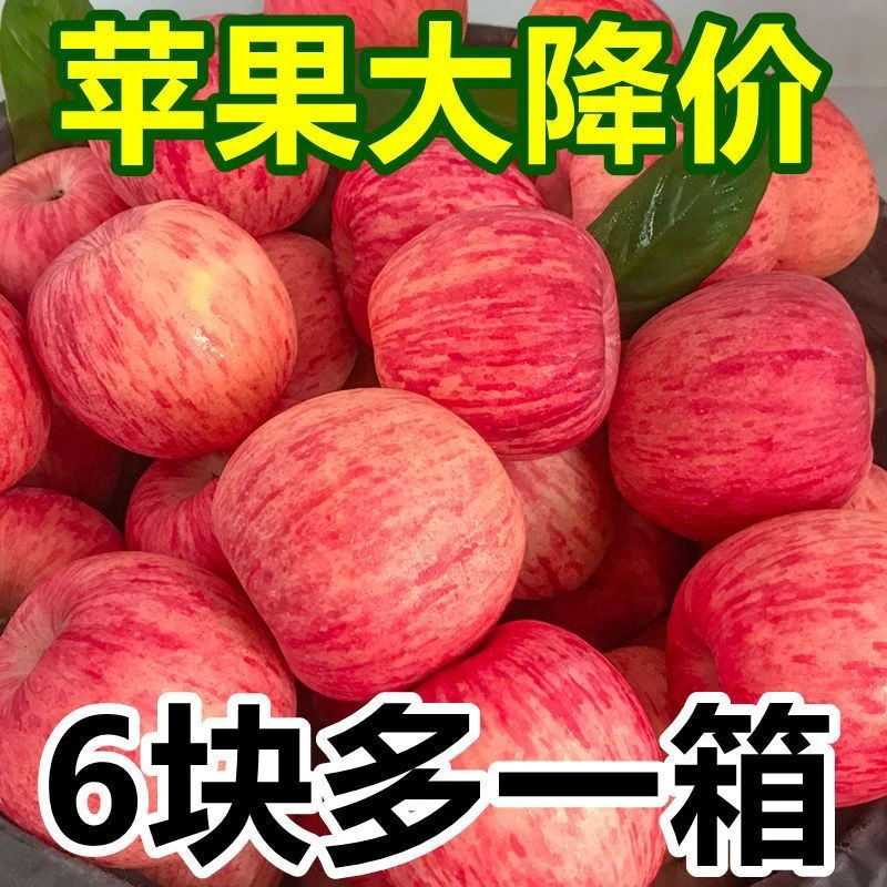 正宗清脆苹果红富士脆甜不打蜡水果新鲜当季现摘1-10斤整箱包邮
