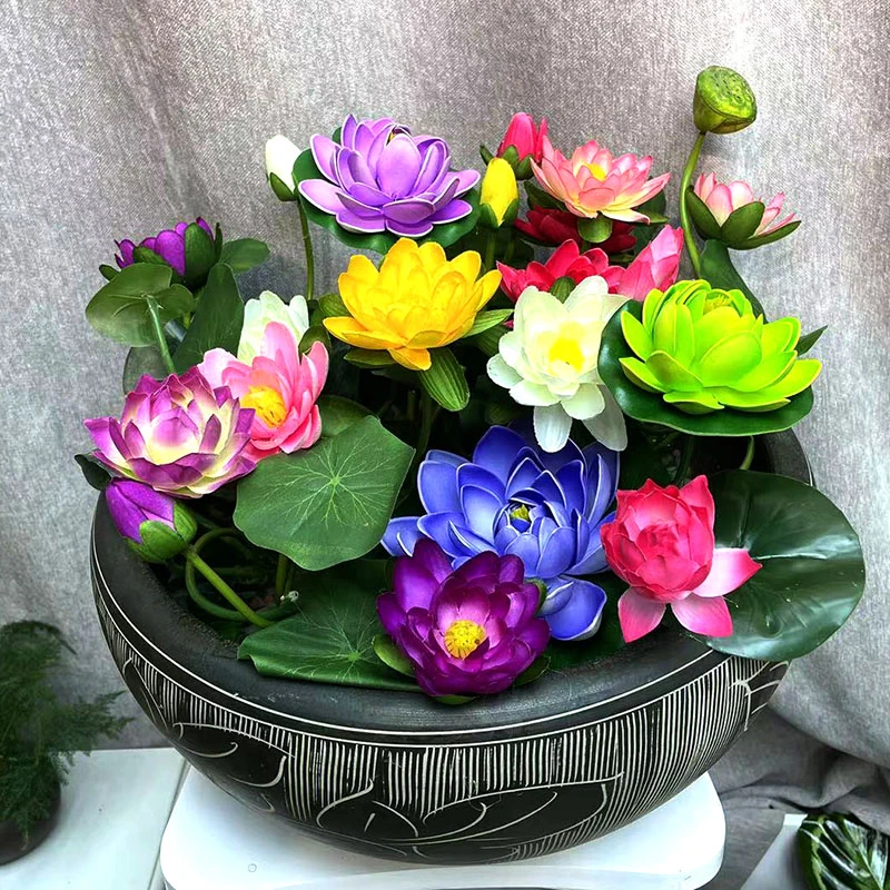【三个颜色】睡莲根块带芽水池鱼缸水培睡莲花当年开花水生花睡莲