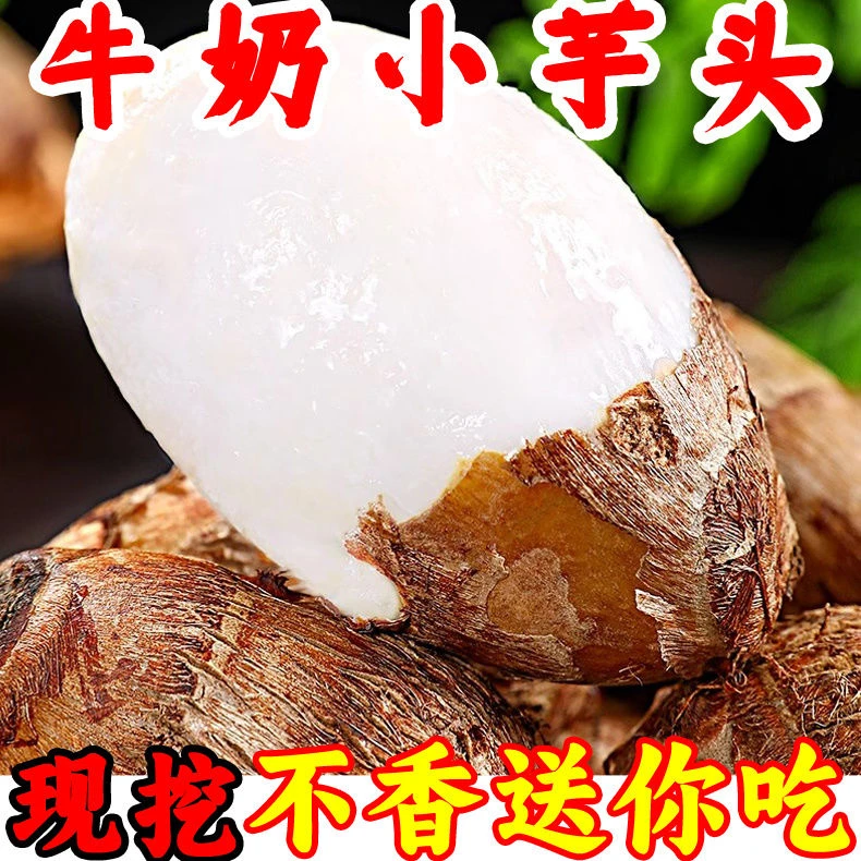 小芋头粉糯新鲜贵州高山牛奶毛芋头批发香糯芋艿香芋软糯芋仔蔬菜