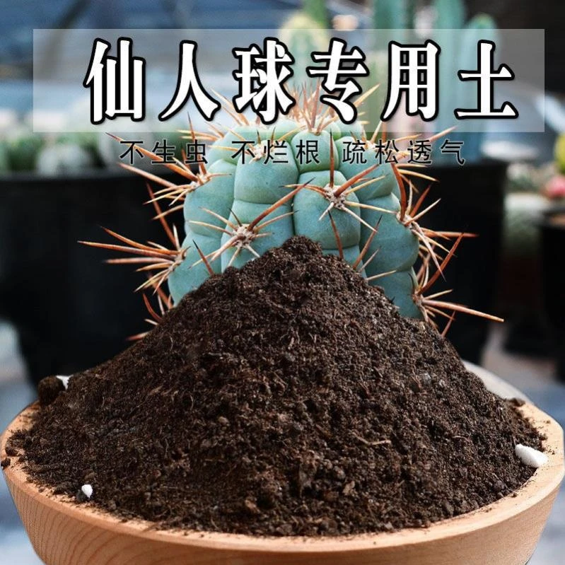 仙人球专用土仙人掌专用肥料有机营养土种植土盆栽养花种花土通用