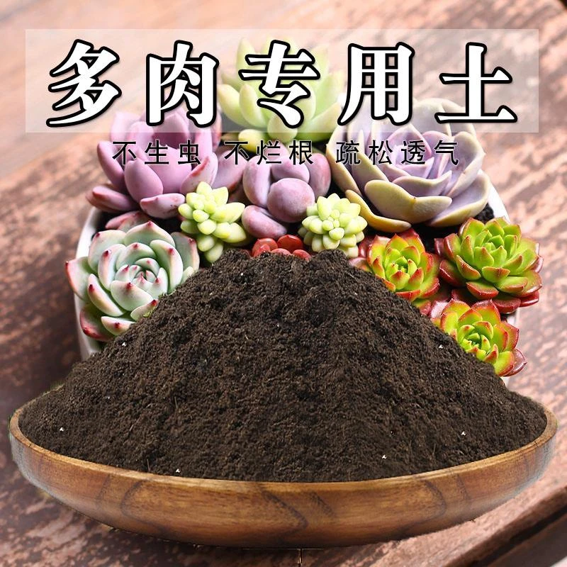 多肉专用土养花卉肉肉营养土种花土多肉营养土种植土透气有机肥料