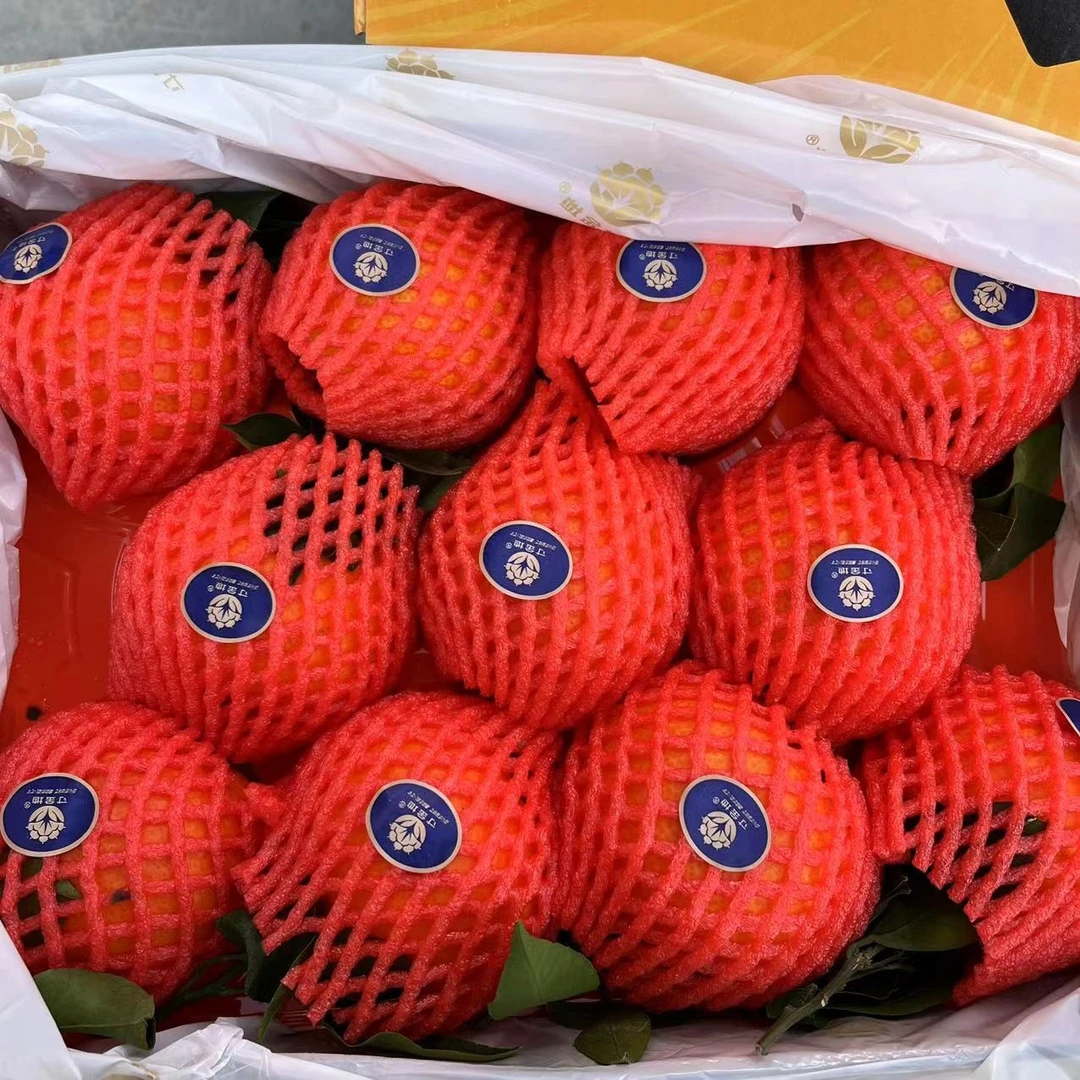 寸金地 爱媛28号果冻橙 带箱9.5斤