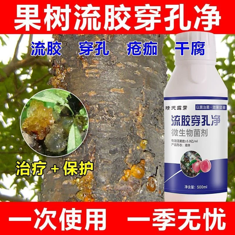 桃树流胶一喷净杏树樱桃黄瓜柑橘流胶穿孔净流胶微生物菌剂菌肥