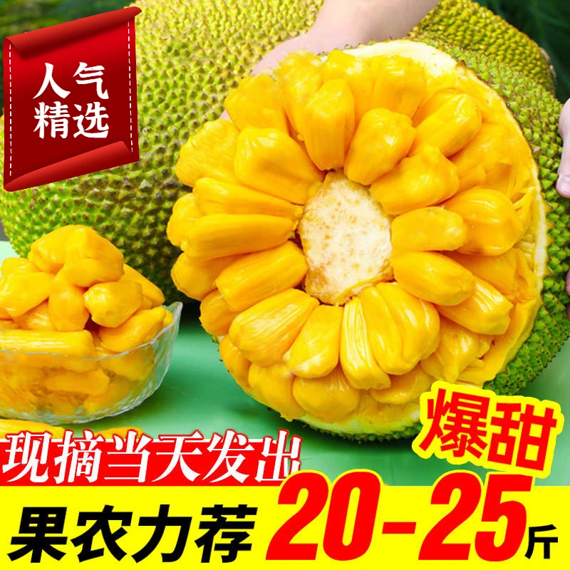 13-17热带海南三亚黄心菠萝蜜整个新鲜水果当季黄肉木波罗蜜