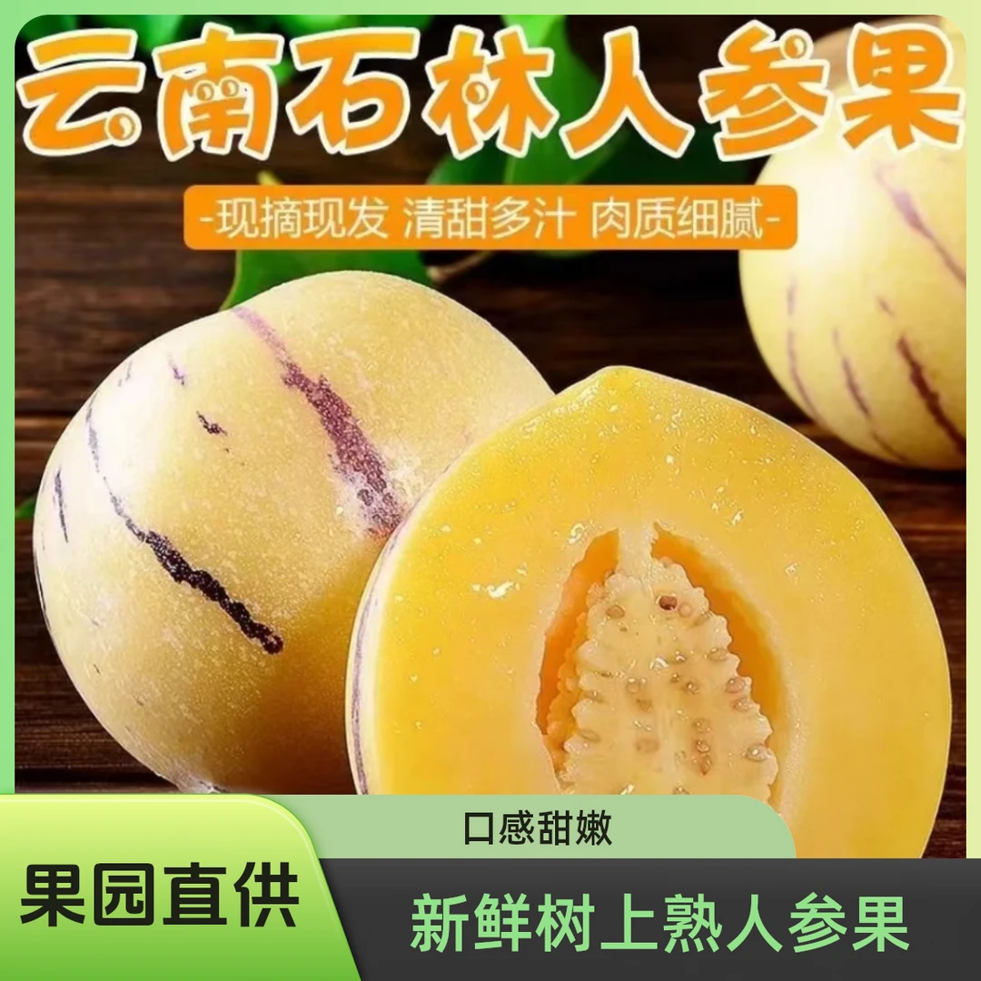 云南石林当季新鲜树熟人参果精选多汁黄肉圆果产地直发3斤5斤包赔