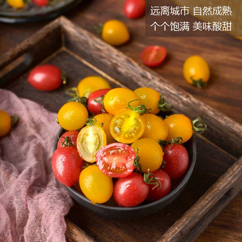 云南精选双色番茄孕妇新鲜水果爆汁圣女果酸甜多汁小西红柿小柿子